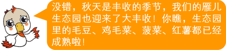 1605857769898250.png