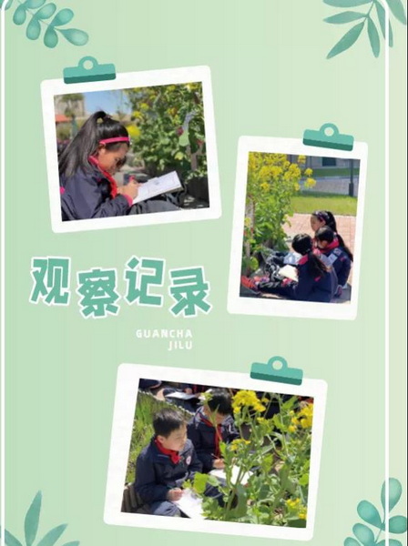 1640825148619338.jpg 12.jpg